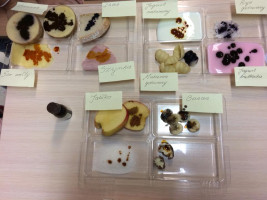 Klub Młodego Odkrywcy