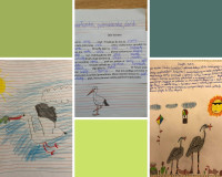 Ptasie sprawy w klasie 2a