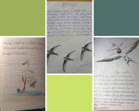 Ptasie sprawy w klasie 2a