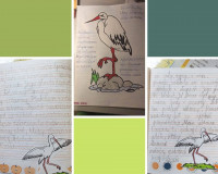 Ptasie sprawy w klasie 2a