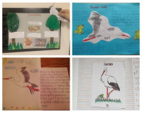 Ptasie sprawy w klasie 2a