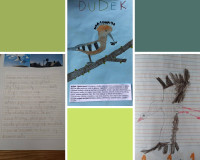 Ptasie sprawy w klasie 2a