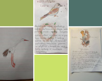 Ptasie sprawy w klasie 2a