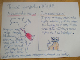 Projekt ,,Zwierzęta świata''