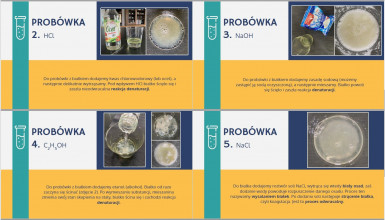 Prezentacja - Lara Gaj 