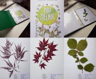 Zielnik - projekt edukacyjny