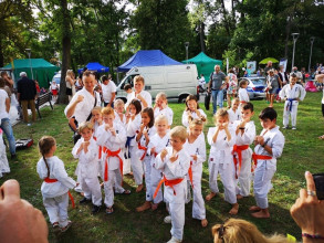 Pokaz karate