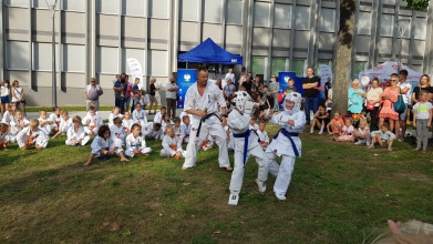Pokaz karate