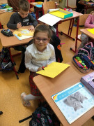 CLILowe słoneczniki