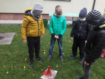 Nauka przez doświadczenie