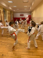 Trening karate 