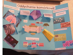 Klucz do efektywnej nauki biologii