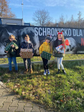 3b pomaga Schronisku dla Bezdomnych Zwierząt w Dyminach