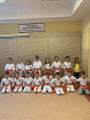 karate 3