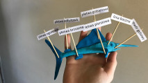 mod1