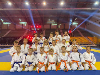 Pokaz Karate