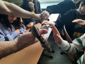 Z miłości do... zwierząt