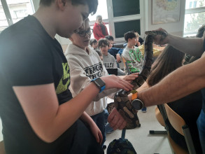 Z miłości do... zwierząt