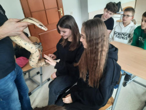 Z miłości do... zwierząt