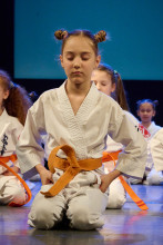 Jubileuszowy pokaz karate 