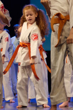 Jubileuszowy pokaz karate 