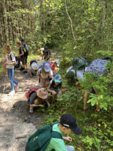 Summer Camp- dzień 3