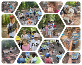 Summer Camp - dzień 5