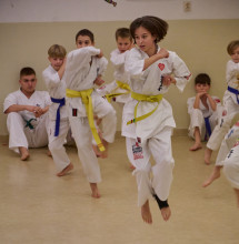 Pokaz karate podczas Finału WOŚP