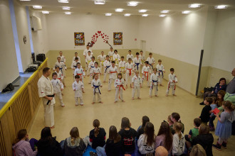 Pokaz karate podczas Finału WOŚP