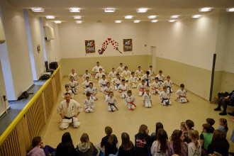 Pokaz karate podczas Finału WOŚP