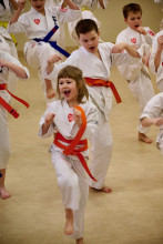 Pokaz karate podczas Finału WOŚP