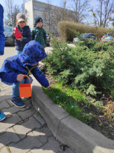 Wielkanocna niespodzianka