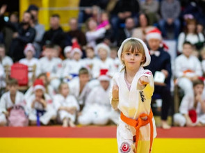 Mikołajkowy Turniej Karate