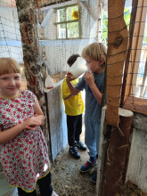 Klasa 1a w gospodarstwie „Głuchowskie Specjały”!